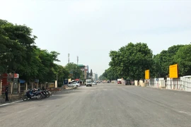 Hà Nội sẽ tiến hành chặt hạ, di chuyển 1.159 cây xanh trên trên tuyến đường Phạm Văn Đồng. (Ảnh: Việt Hùng/Vietnam+)