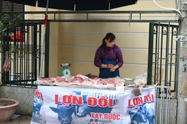 Nhiều tiểu thương đã nghĩ ra chiêu kinh doanh buôn bán sau khi Hà Nội ra quân đòi lại vỉa hè. (Ảnh: Nguyễn Hằng/Vietnam+)