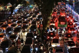 (Ảnh: Thành Đạt/TTXVN)