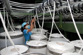 Công nhân hoạt động tại khu công nghiệp Thạch Thất, Hà Nội. (Ảnh: Danh Lam/TTXVN)