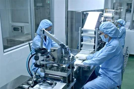 (Ảnh minh họa: Thế Anh/TTXVN)