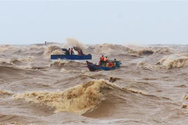 (Ảnh minh họa: Hồ Cầu/TTXVN)