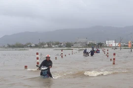 Tuyến đường từ xã Cát Tiến, huyện Phù Cát đi xã Phước Thắng, huyện Tuy Phước, Bình Định bị ngập sâu từ đêm qua. (Ảnh: Tường Quân/TTXVN)