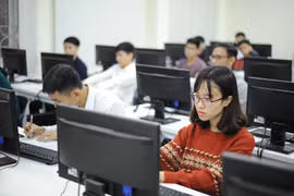 (Ảnh minh họa: PV/Vietnam+)