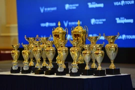 Giải Vô địch Golf Quốc gia 2022 gồm gồm 120 vận động viên nam và 40 vận động viên nữ. (Ảnh: CTV/Vietnam+)