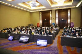 (Ảnh: PV/Vietnam+)