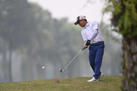 Ảnh minh hoạ. (Ảnh: PV/Vietnam+) 