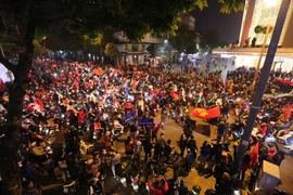 (Ảnh: Minh Sơn/Vietnam+)