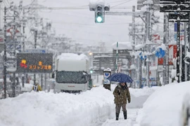 Nhật Bản: Hàng trăm phương tiện mắc kẹt trên cao tốc do tuyết rơi dày