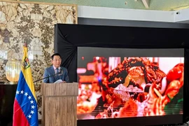 Thúc đẩy quảng bá du lịch qua sự kiện Ngày ASEAN tại Venezuela