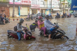 Triều cường hạ lưu sông Cửu Long có thể đạt đỉnh vào ngày 11-13/10