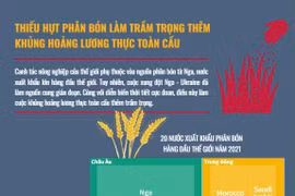 Thiếu hụt phân bón làm trầm trọng thêm khủng hoảng lương thực toàn cầu