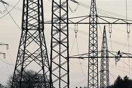 Ảnh minh họa. (Ảnh: AFP/TTXVN)