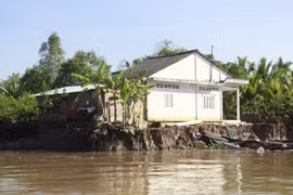 Vĩnh Long: Sạt lở bờ sông Cổ Chiên làm 13 căn nhà rơi xuống sông