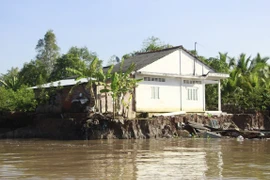 Vĩnh Long: Sạt lở bờ sông Cổ Chiên làm 13 căn nhà rơi xuống sông