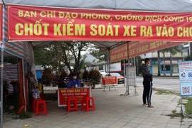 Cà Mau trở lại vùng xanh trước thềm Tết Nguyên đán Nhâm Dần