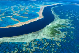 Australia: Rạn san hô Great Barrier bị đe dọa tẩy trắng trên diện rộng