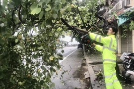 Thừa Thiên-Huế kiến nghị hỗ trợ di dời dân khỏi khu vực nguy cơ sạt lở