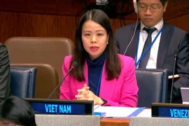 Việt Nam kêu gọi vượt qua thách thức, thực hiện các mục tiêu SDG
