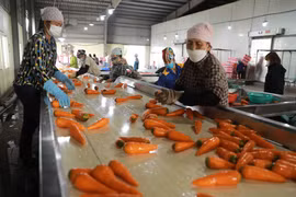 Xây dựng chuỗi cung ứng nông sản vào chế biến để mở rộng kênh tiêu thụ