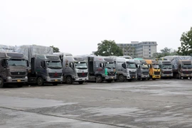 Lào Cai tạm dừng nhận xe chở trái cây qua cửa khẩu Kim Thành từ 18/1