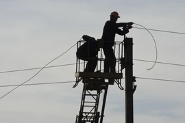 Ukraine đảm bảo cấp điện cho các cơ sở nông nghiệp trọng điểm 