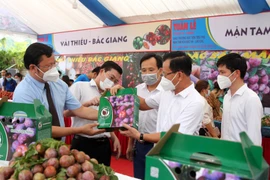 Lào Cai đưa toàn bộ sản phẩm OCOP lên sàn thương mại điện tử