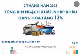 Tổng kim ngạch xuất, nhập khẩu hàng hóa tăng 13% trong 2 tháng đầu năm