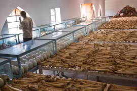 Hà Lan bắt giữ cựu sỹ quan Rwanda liên quan đến thảm họa diệt chủng