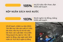 Doanh thu của Tập đoàn Than-Khoáng sản ước đạt 128.600 tỷ đồng