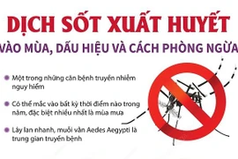 Dịch sốt xuất huyết vào mùa, dấu hiệu và cách phòng ngừa