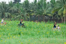 Khu đô thị Ecopark và hành trình bền bỉ kiến tạo “gia tài” xúc cảm