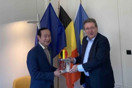 Tăng cường hợp tác giữa địa phương của Việt Nam và vùng thủ đô của Bỉ