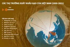 [Infographics] Các thị trường xuất khẩu gạo của Việt Nam