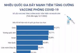 Đà Nẵng có thể đạt đỉnh dịch vào những ngày giáp Tết Nguyên đán
