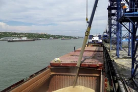 Ukraine cần xuất khẩu 50 triệu tấn ngũ cốc trong giai đoạn 2022-2023