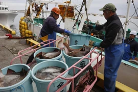 Nhật Bản và Nga đàm phán về hạn ngạch đánh bắt cá hồi năm 2022