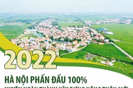 Năm 2022: Hà Nội phấn đấu 100% huyện hoàn thành xây dựng nông thôn mới