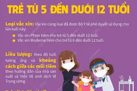 Hướng dẫn tiêm vaccine phòng COVID-19 cho trẻ từ 5 đến dưới 12 tuổi