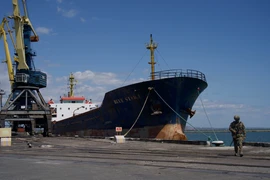 Mỹ không dỡ bỏ trừng phạt Nga để hỗ trợ tháo gỡ khủng hoảng lương thực