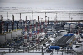 EU huy động thêm 20 tỷ euro nhằm giảm phụ thuộc vào khí đốt của Nga