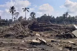 Quốc tế tích cực viện trợ Tonga sau thảm họa núi lửa và sóng thần