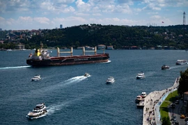 Ông Erdogan: Không có trở ngại về gia hạn thỏa thuận xuất khẩu ngũ cốc