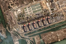 Ban Giám đốc IAEA kêu gọi Nga rời nhà máy điện hạt nhân Zaporizhzhia