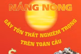 [Infographics] Nắng nóng gây tổn thất nghiêm trọng trên toàn cầu