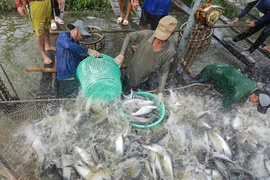 Tỉnh An Giang còn nhiều tiềm năng, lợi thế phát triển kinh tế
