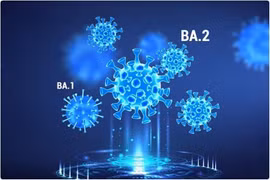 Đột biến của SARS-CoV-2 có khả năng "lẩn trốn" tế bào T trên diện rộng