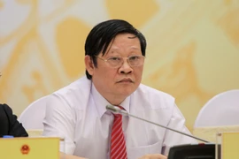 (Ảnh: PV/Vietnam+)