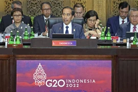 Tổng thống Indonesia Joko Widodo (giữa) phát biểu khai mạc Hội nghị thượng đỉnh Nhóm các nền kinh tế phát triển và mới nổi hàng đầu thế giới (G20) ở Bali. (Ảnh: Kyodo/TTXVN)