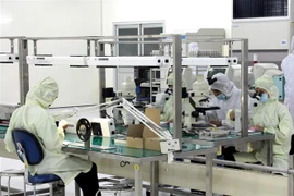 Nhà máy sản xuất linh kiện điện tử tại Khu công nghiệp VSIP II Bình Dương. (Ảnh: Quách Lắm/TTXVN)